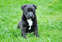 5 Mind Blowing Facts about Fish