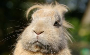 If You Eat Meat You Need To Know These 5 Facts